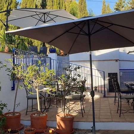 Premium Bed & Breakfast Casa Alegria Andaluza Los Romanes エクステリア 写真