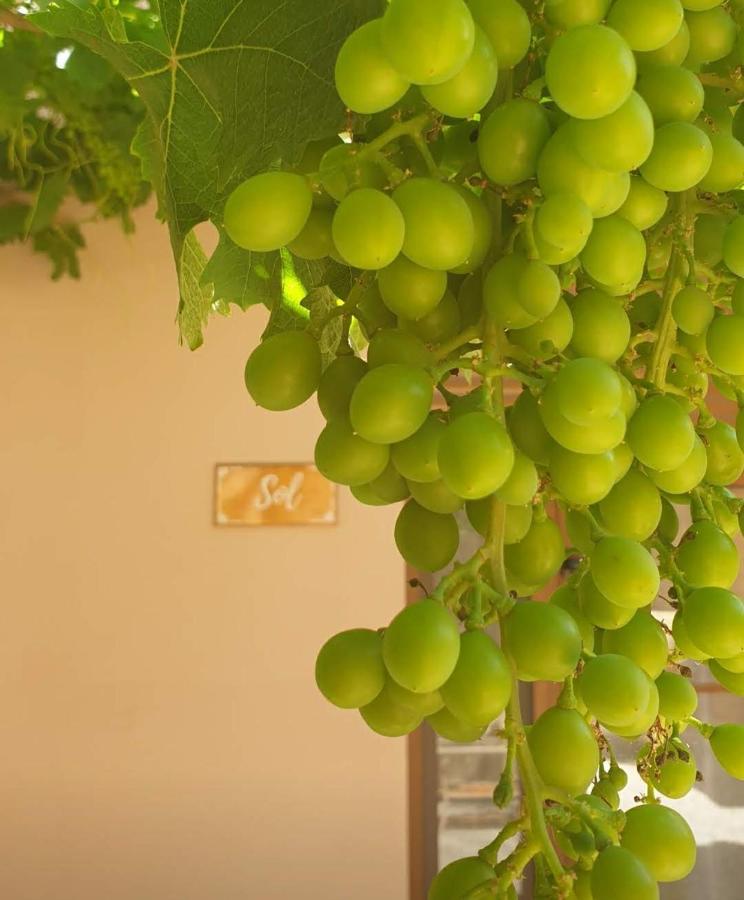 Premium Bed & Breakfast Casa Alegria Andaluza Los Romanes エクステリア 写真